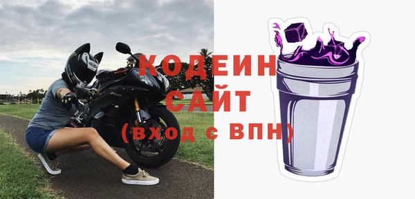 мдпв Ельня