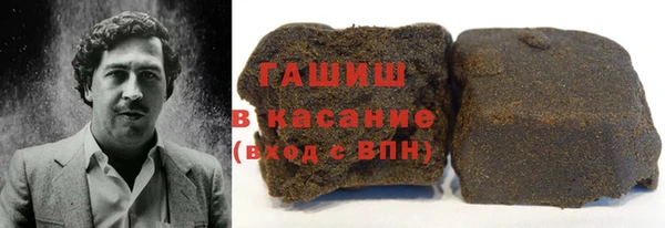 мдпв Ельня