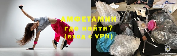 мдпв Ельня