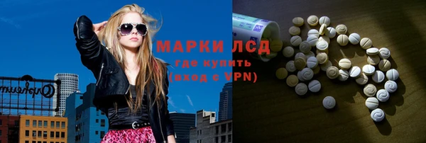 индика Дмитровск