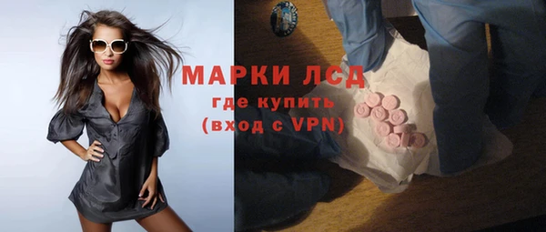 мдпв Ельня