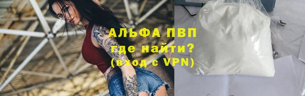 мдпв Ельня