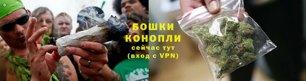 мдпв Елабуга