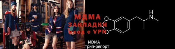мдпв Елабуга