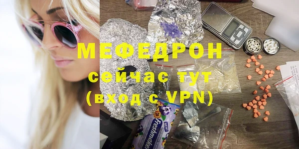 индика Дмитровск