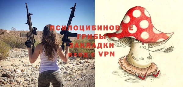 мдпв Елабуга