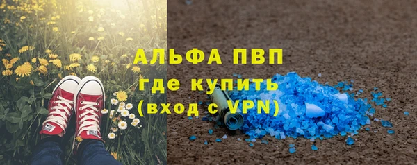 мдпв Елабуга