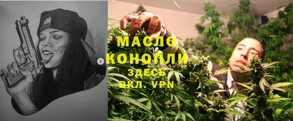 мдпв Елабуга