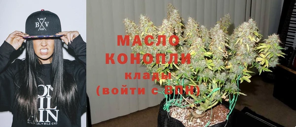мдпв Ельня