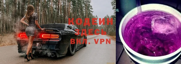 мдпв Елабуга