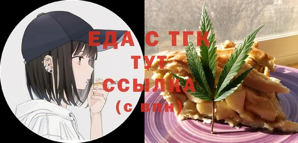 мдпв Елабуга