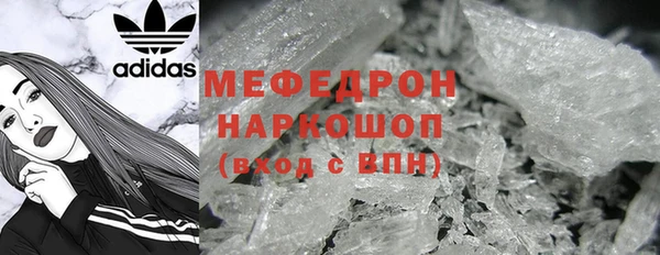 мдпв Ельня
