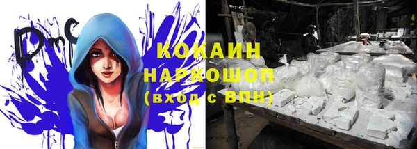 мдпв Елабуга