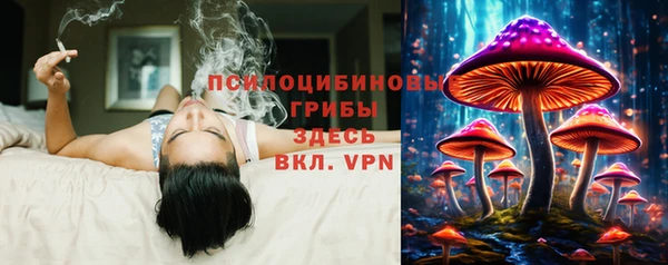 мдпв Елабуга