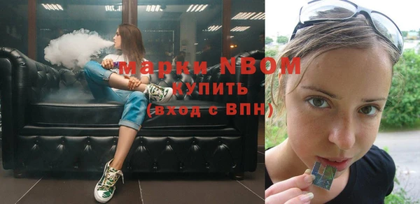 мдпв Елабуга