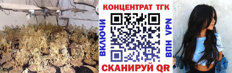 mega ссылки  сколько стоит  Сенгилей  Дистиллят ТГК концентрат 