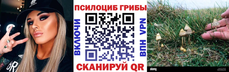 Псилоцибиновые грибы Magic Shrooms  Сенгилей 